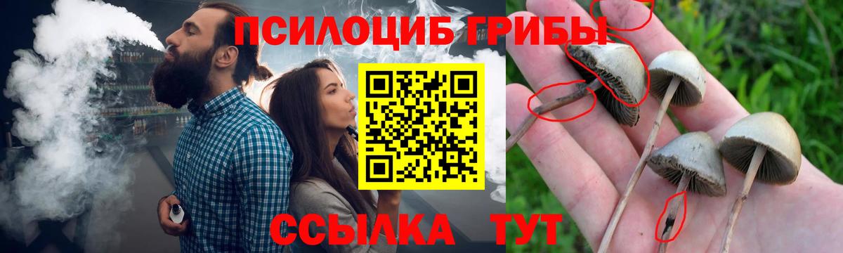 Псилоцибиновые грибы Cubensis  Псилоцибиновые грибы мухоморы  Вход с VPN  Горячий Ключ 